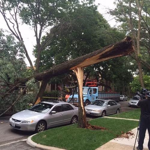 10-anh-hai-hot-nhat-facebook-trong-ngay-8