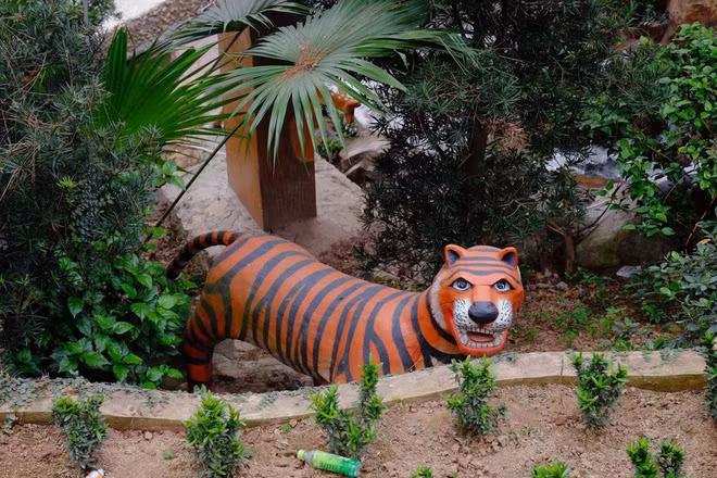 Chúa sơn lâm nhưng có gương mặt khá thân thiện.