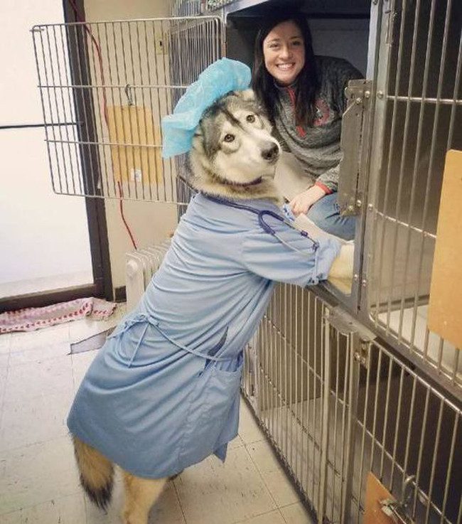 Đi đường tim đập bất thường... vì buồn cười quá hình ảnh 13 di duong tim dap bat thuong... vi buon cuoi qua hinh anh 13