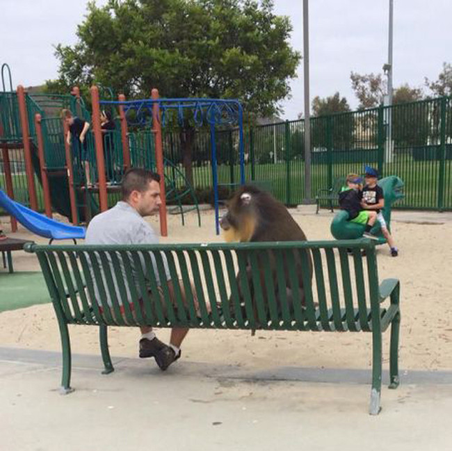 Đi đường tim đập bất thường... vì buồn cười quá hình ảnh 15 di duong tim dap bat thuong... vi buon cuoi qua hinh anh 15