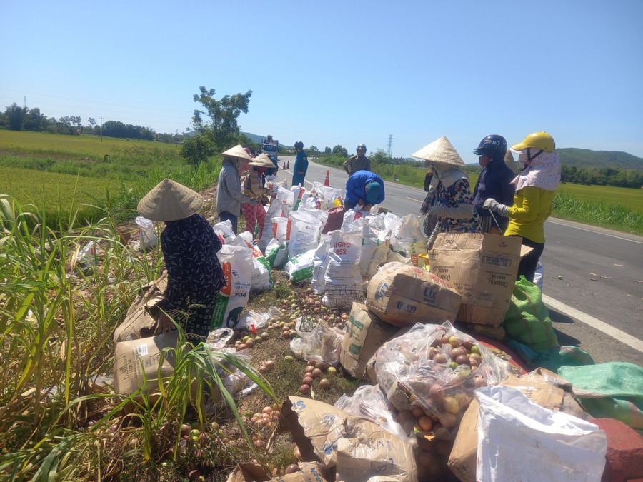 Người dân thu gom trái cây vào túi đựng giúp tài xế. Người dân thu gom trái cây vào túi đựng giúp tài xế.