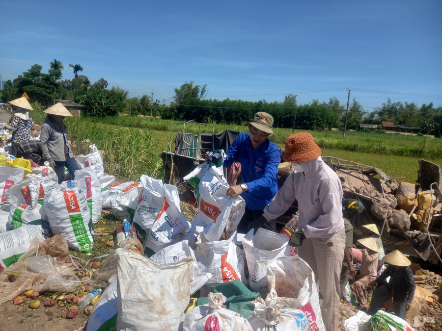 Người dân mang nhiều bao tải để gom trái cây giúp tài xế. Người dân mang nhiều bao tải để gom trái cây giúp tài xế.