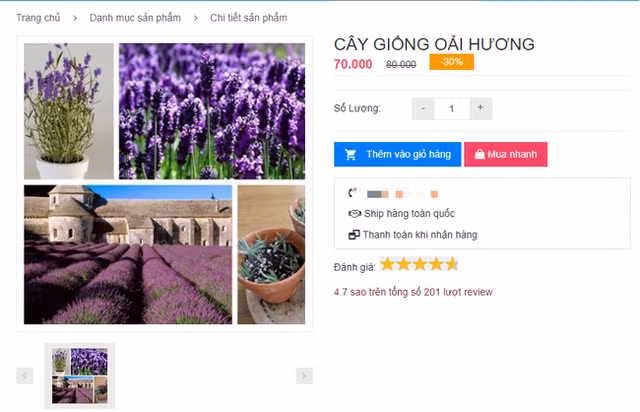 Mách bạn 10 loại cây cảnh trồng quanh nhà có khả năng xua đuổi kiến ba khoang hiệu quả - Ảnh 4.