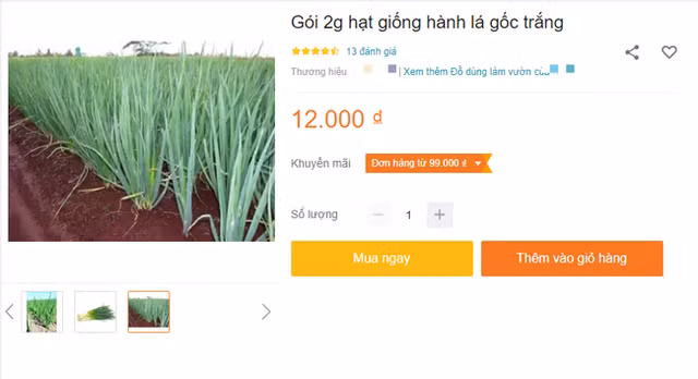 Mách bạn 10 loại cây cảnh trồng quanh nhà có khả năng xua đuổi kiến ba khoang hiệu quả - Ảnh 14.