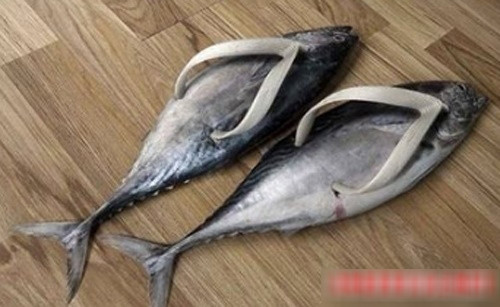 Đôi dép tình yêu và những hình ảnh hài hước về đôi dép ảnh 13