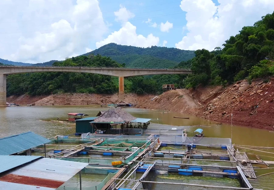  Nuôi cá lồng trên lòng hồ thuỷ điện