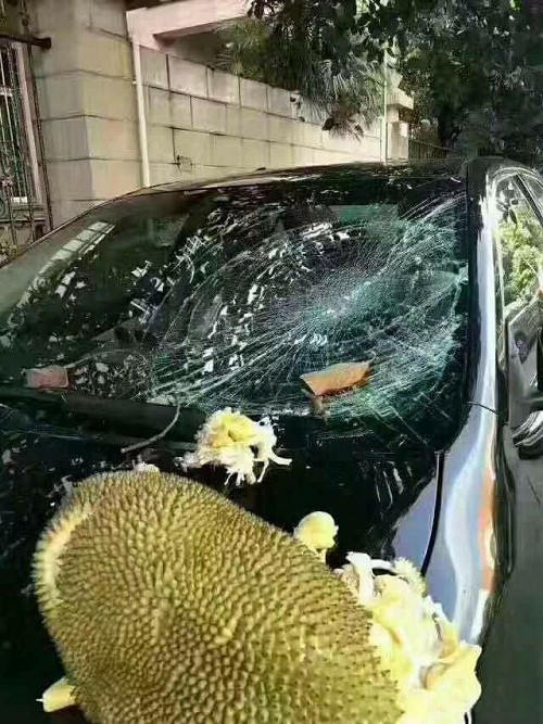 Trong cái khó, có mít ngon. Trong cái khó, có mít ngon.