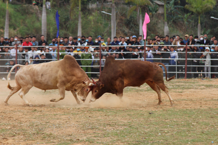 Những "miếng đánh" mãn nhãn... Những "miếng đánh" mãn nhãn...