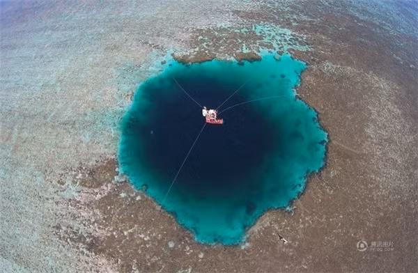 Điểm qua 10 kỉ lục kì lạ nhất được lập trong năm 2016 