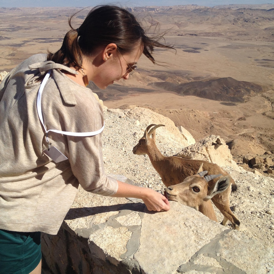 Miệng núi lửa Ramom