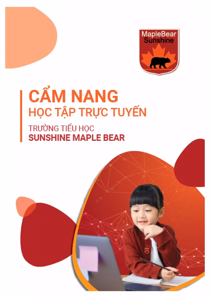 Hệ thống giáo dục Việt Nam đã chuẩn bị những gì để thích ứng với làn sóng Covid lần thứ 4? ảnh 3