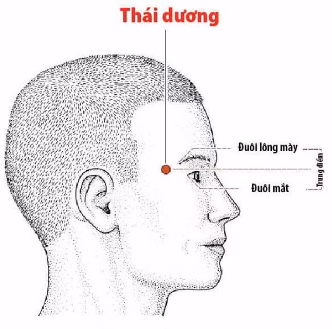 huyet-thai-duong