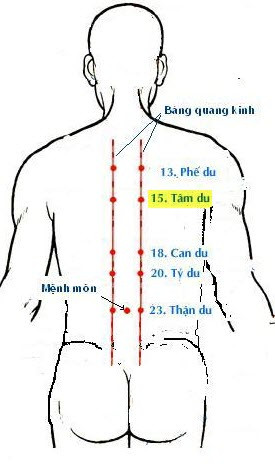 huyet-tam-du