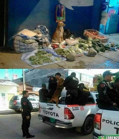 Lên phường vì tội lấn chiếm vỉa hè.