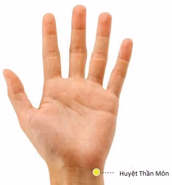 Vị trí huyệt Thần môn