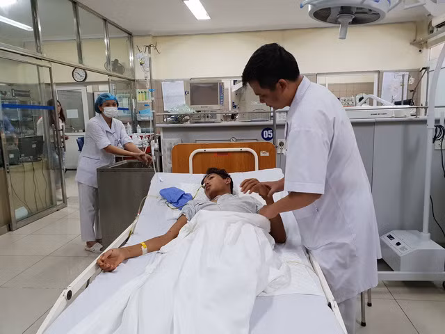 Cách sơ cứu giảm nguy cơ suy gan, suy thận khi bị ong đốt ai cũng cần biết