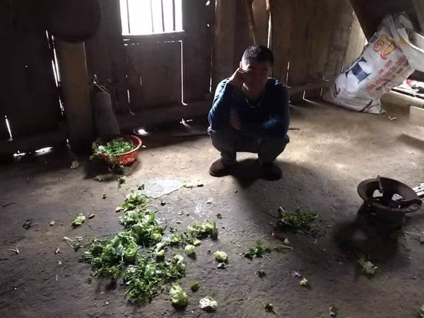 Mồng 3 Tết, ông bạn lên nhà vợ, mẹ vợ nhờ " vẩy rau" và kết quả... Rau có " chân"