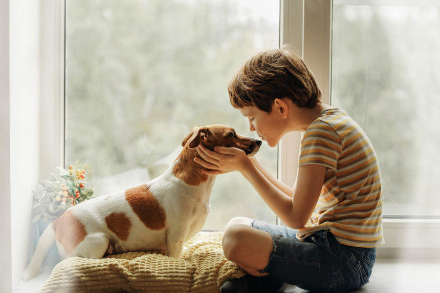 Hãy để ý ngôn ngữ cơ thể của thú cưng khi tương tác với chúng và xem liệu chúng có đồng ý tương tác hay không. (Ảnh: ITN). Hãy để ý ngôn ngữ cơ thể của thú cưng khi tương tác với chúng và xem liệu chúng có đồng ý tương tác hay không. (Ảnh: ITN).