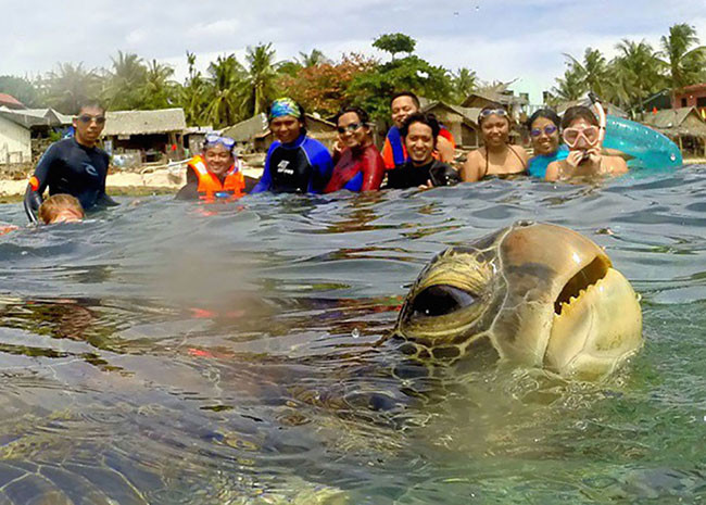 Những bức hình bạn phải xem khi bị áp lực cuộc sống "đè bẹp" hình ảnh 2 nhung buc hinh ban phai xem khi bi ap luc cuoc song "de bep" hinh anh 2