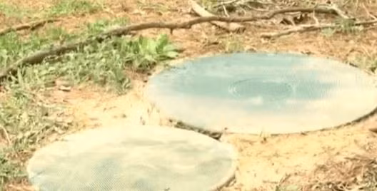 Để con chơi một mình ở sân sau, người mẹ đánh mất con trai 3 tuổi chỉ trong chớp mắt vì tai nạn không ngờ đến - Ảnh 2.