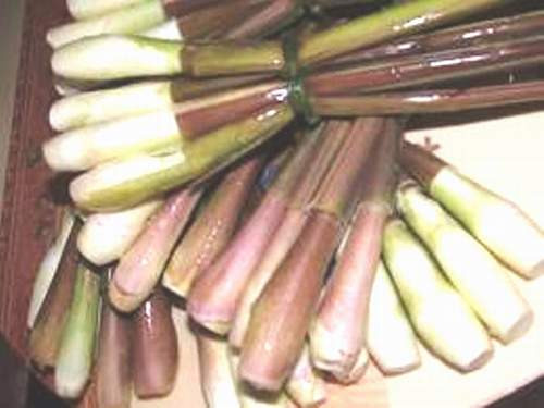 Củ niễng giúp giảm huyết áp, hạ mỡ máu 1 cu-nieng-giup-giam-huyet-ap-ha-mo-mau-1