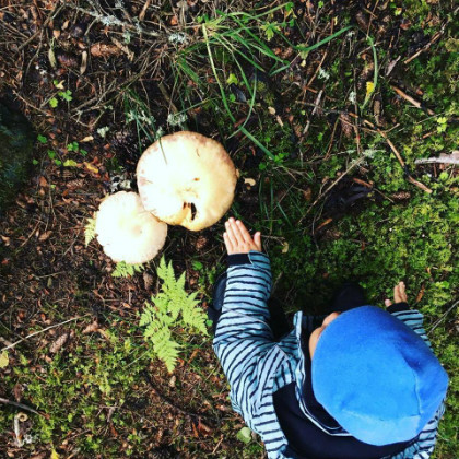 Trong khi nhiều bạn khác thích leo cây, bắt ốc sên, bé Ốc thích hái nấm khi vào lớp học trong rừng. Trong khi nhiều bạn khác thích leo cây, bắt ốc sên, bé Ốc thích hái nấm khi vào lớp học trong rừng. Ảnh: NVCC.