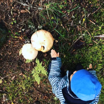 Trong khi nhiều bạn khác thích leo cây, bắt ốc sên, bé Ốc thích hái nấm khi vào lớp học trong rừng. Ảnh: NVCC.