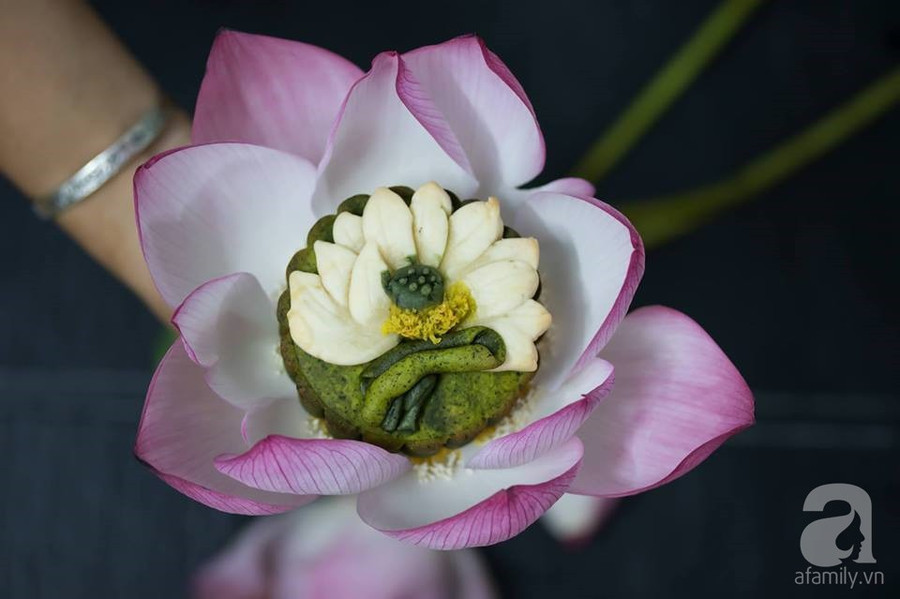 39211729_1655558754570430_3397613310625972224_n 39211729_1655558754570430_3397613310625972224_n