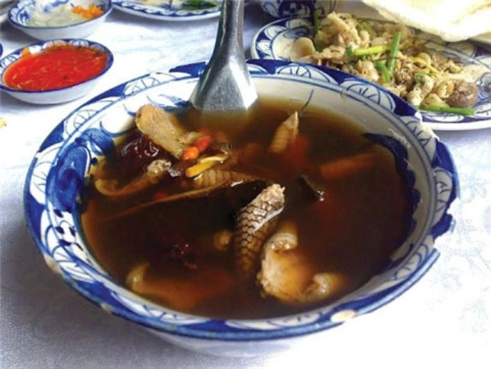 Món ăn từ rắn, "thần dược" cho người bị thoái hóa cột sống
