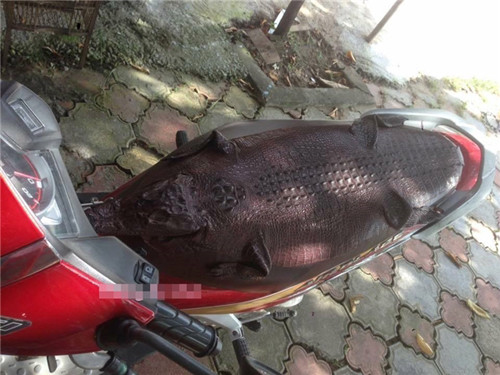 Yên xe "chất nhất quả đất". Yên xe chất nhất quả đất.