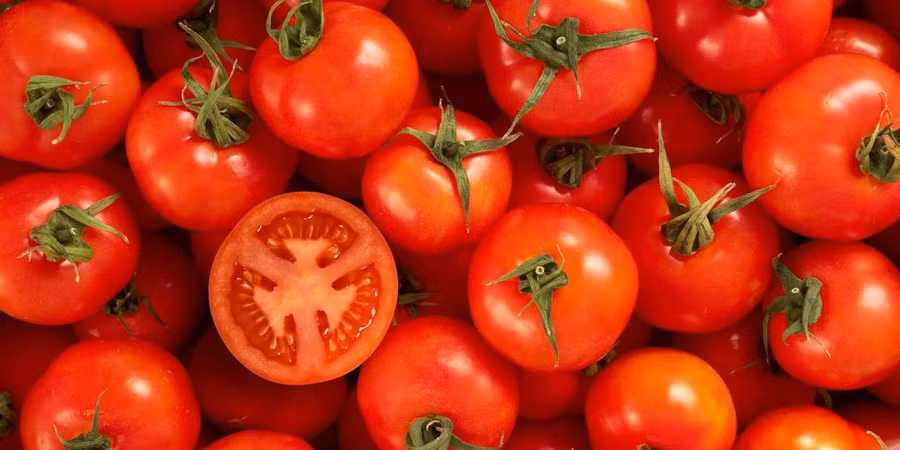 Lợi ích bất ngờ khi ăn cà chua mỗi ngày