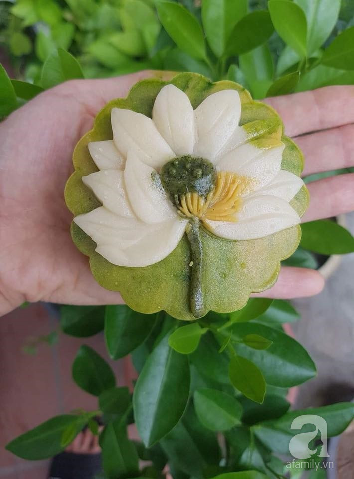 37141920_1655558767903762_2559766509454884864_n 37141920_1655558767903762_2559766509454884864_n