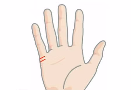 Nếu sở hữu hai chỉ tay đường hôn nhân song song, cuộc sống hôn nhân của bạn chắc chắn sẽ hạnh phúc.