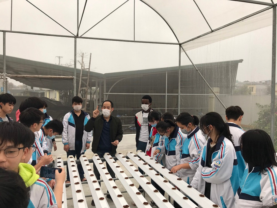 Học sinh trường THPT Chuyên Thái Nguyên tham gia trải nghiệm trồng rau thủy sinh.