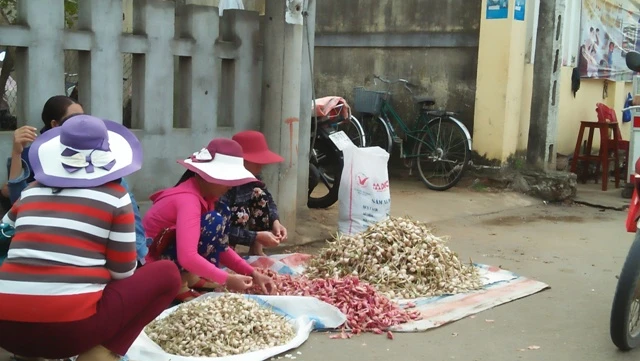 Tỏi Ninh Hiển được bày bán tiêu thụ tại chợ huyện Lý Sơn 