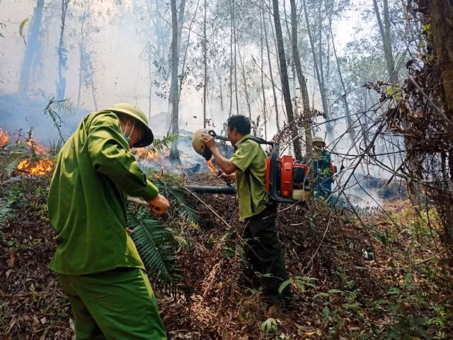 Lực lượng chức năng đã có mặt tại khu vực rừng cháy để dập lửa
