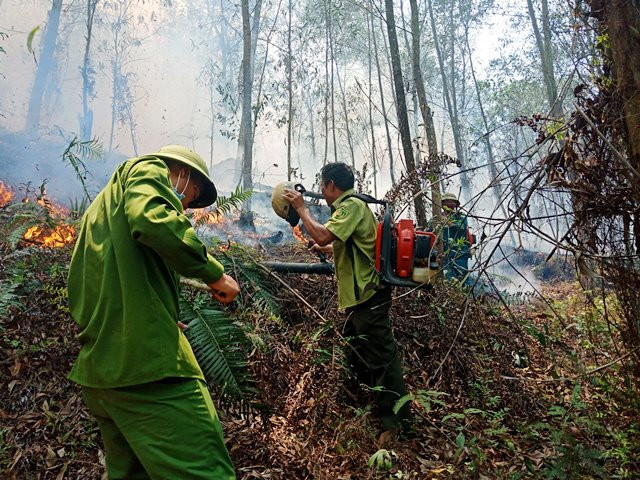 Lực lượng chức năng đã có mặt tại khu vực rừng cháy để dập lửa
