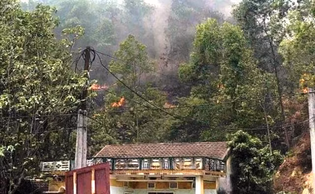 Nhiều hộ dân nằm dưới cánh rừng đang bị đe dọa