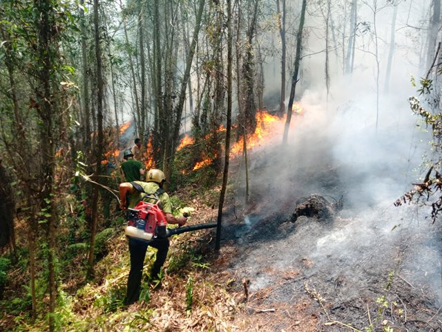Đám chạy hiện đã được khống chế.