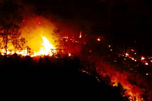 Lực lượng chức năng đã được huy động dập lửa