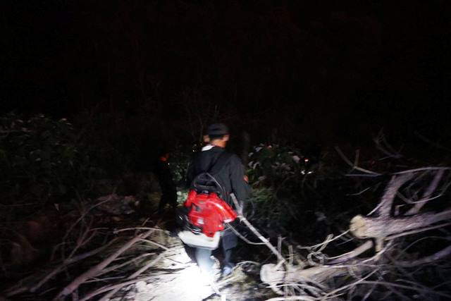 Lực lượng cứu hộ có mặt ngay sau đám cháy