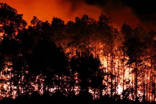 Đây là vụ cháy rừng chưa từng có tại Hương Sơn.