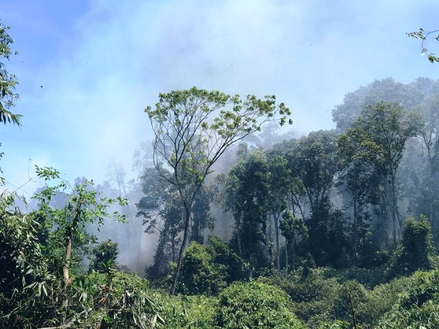 Cháy lớn ở Hồ Kẻ Gỗ, Cẩm Mỹ (Cẩm Xuyên)