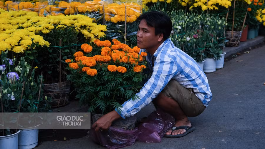 Cần Thơ: Tiểu thương chợ bông "lạc quan" trước dịch Covid-19 ảnh 10