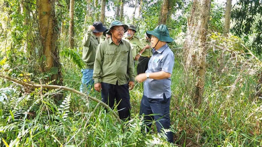 Đoàn công tác kiểm tra một số khu vực rừng khô (ảnh CTTĐT Cà Mau).