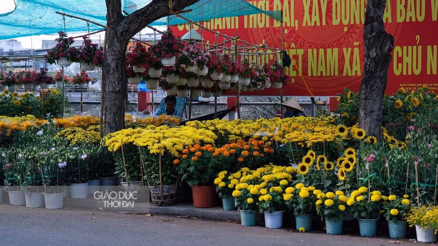 Một số gian hàng hoa, đồ trang trí tết... trên tuyến đường Hoàng Văn Thụ.