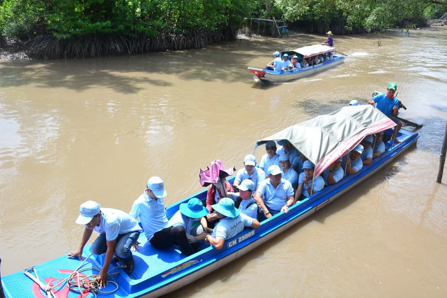 Ảnh minh hoạ (Cổng TTĐT Cà Mau).