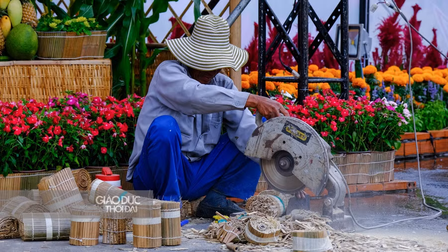 Cần Thơ gấp rút hoàn thiện đường hoa chào đón du khách ảnh 3