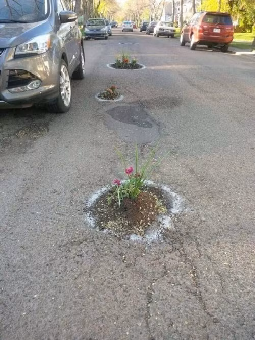 Những ổ gà đáng ghét bỗng trở nên thơ mộng.