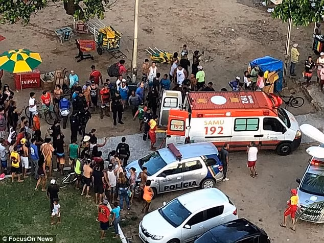 Mất “của quý” vì bị cá mập tấn công trên bãi biển công cộng ảnh 1